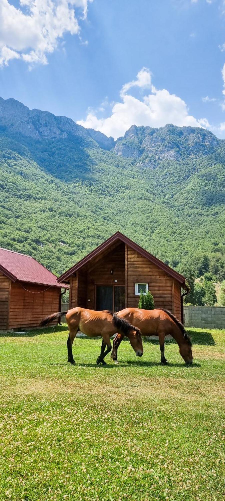 Hotel Ethno Katun Rosi Agrotourism Gusinje Zewnętrze zdjęcie