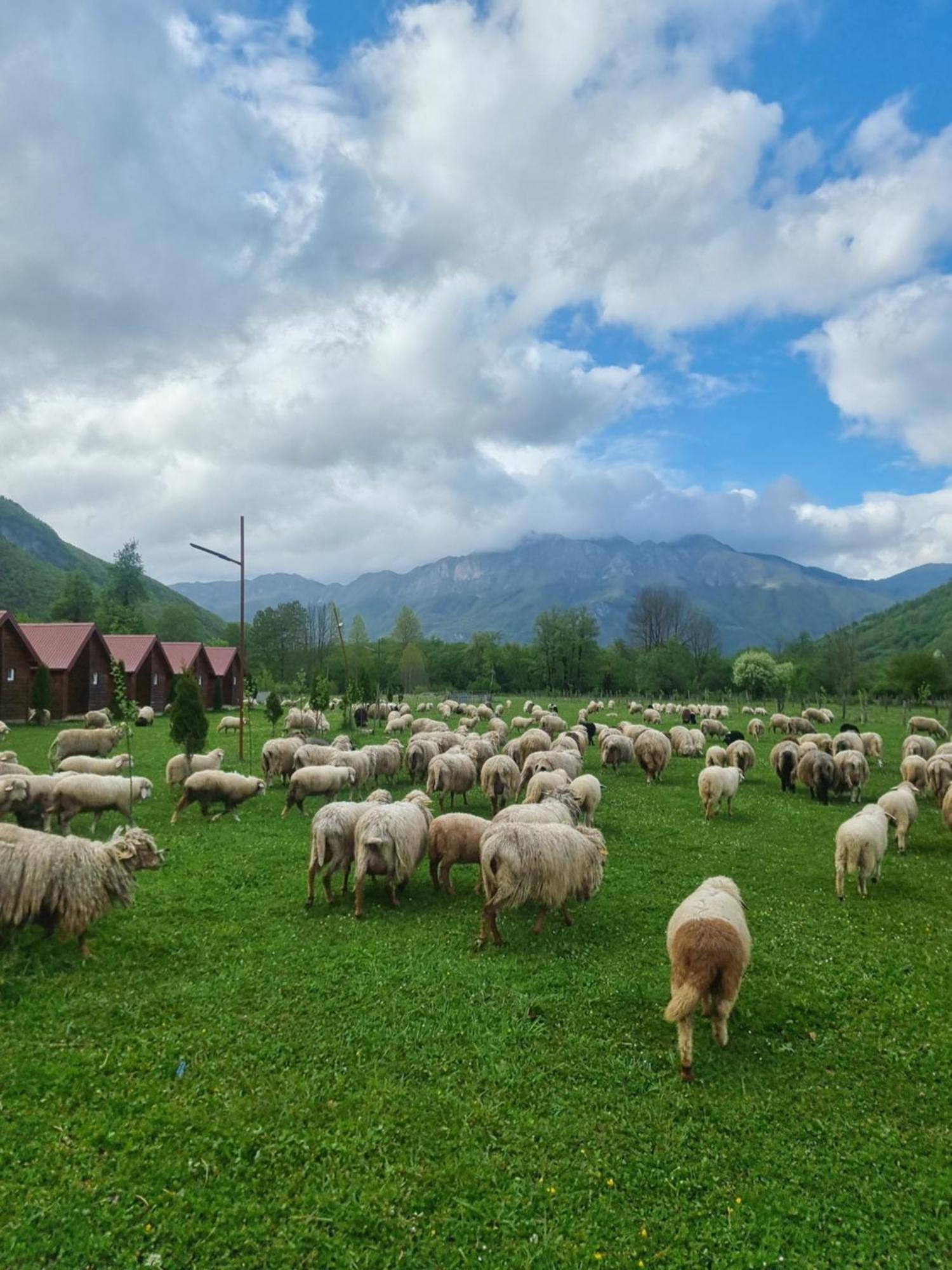 Hotel Ethno Katun Rosi Agrotourism Gusinje Zewnętrze zdjęcie